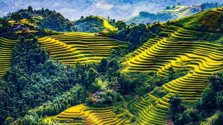 Hotspot Matrix và Cá Phổi Tây Phi: Sự Hợp Tác Để Bảo Vệ